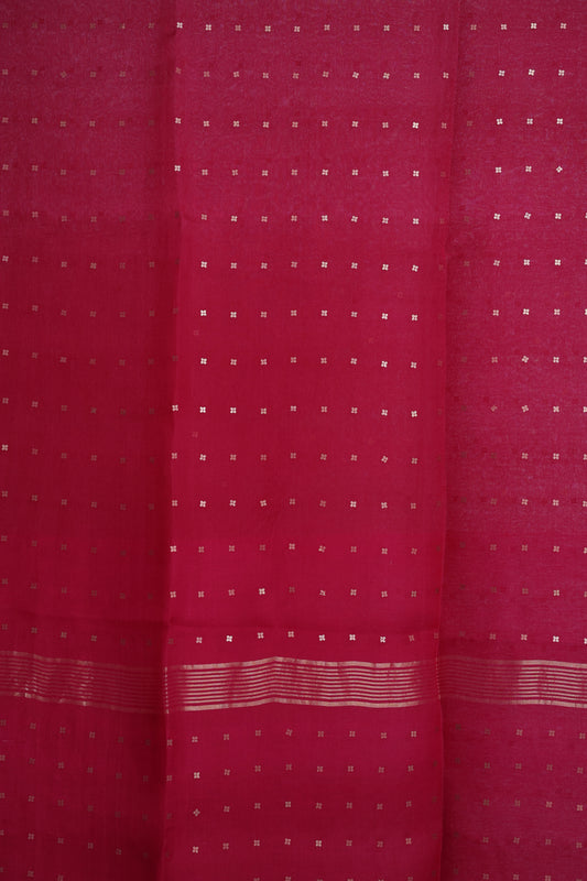 Raani - Pure Muslin Silk Sequin Saree