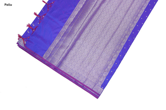 Neel Chappa Katan Silk Saree