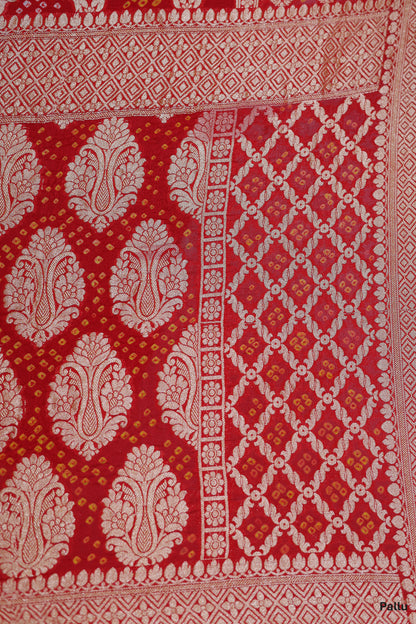 Rajsi Bandhan - Banarasi Bandhni Saree
