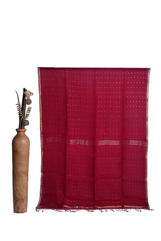 Raani - Pure Muslin Silk Sequin Saree
