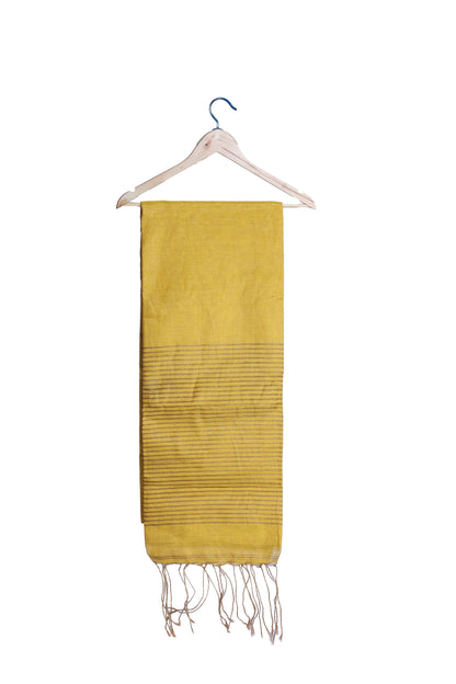 Handloom Linen Tissue Saree