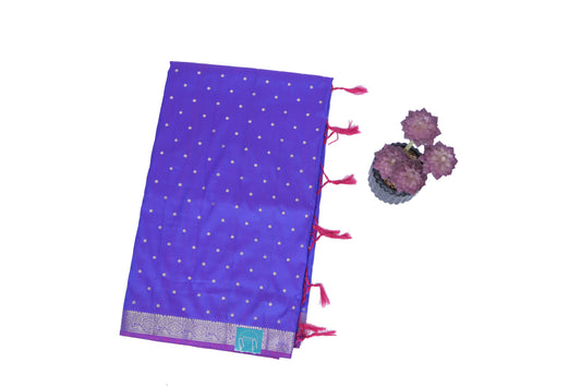 Neel Chappa Katan Silk Saree