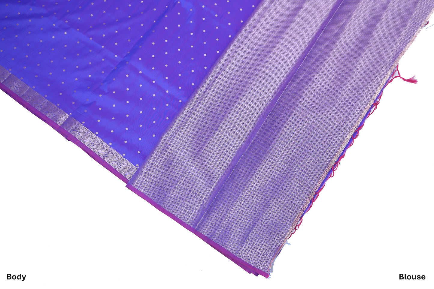 Neel Chappa Katan Silk Saree