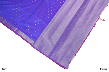 Neel Chappa Katan Silk Saree