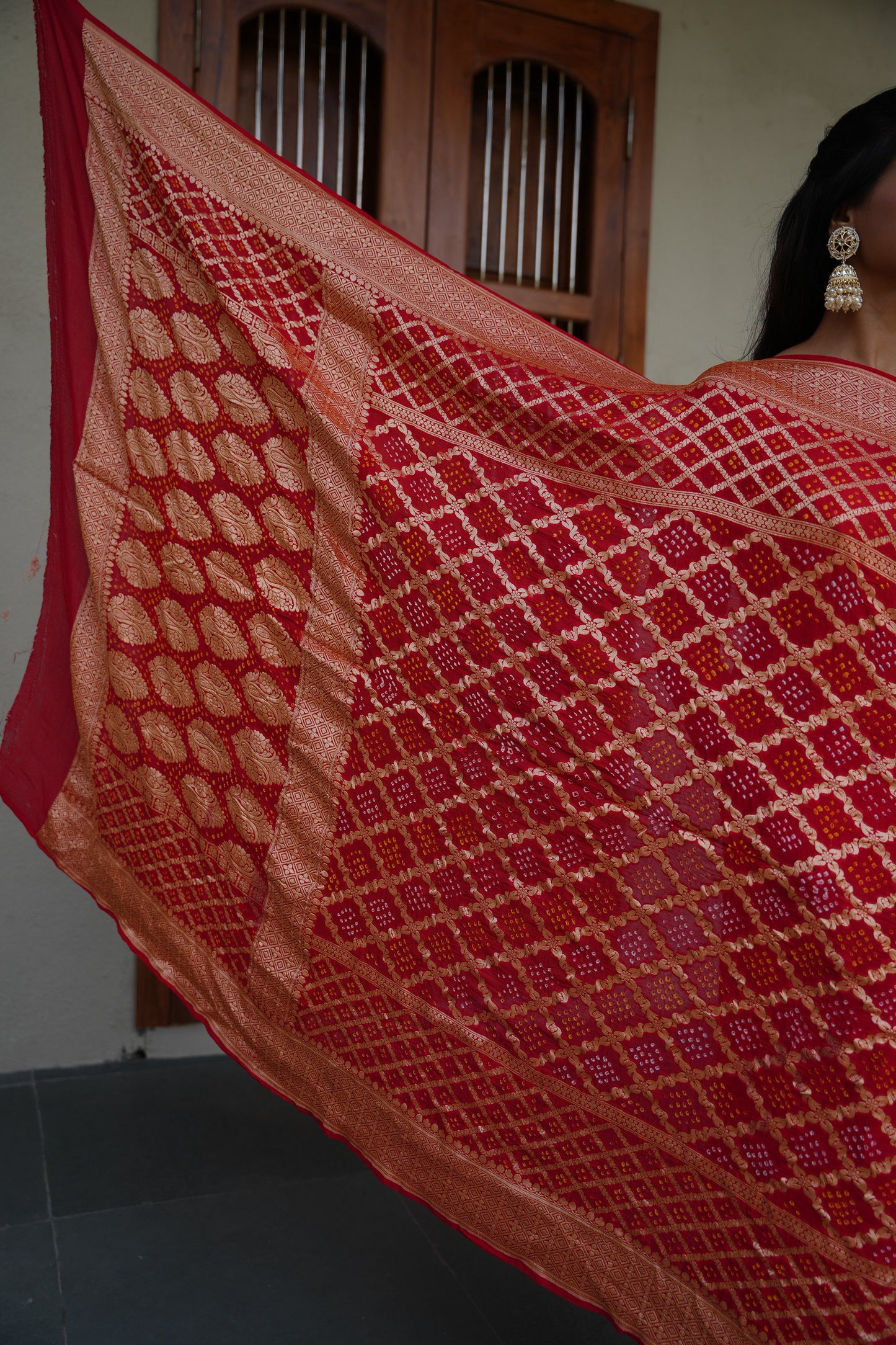 Rajsi Bandhan - Banarasi Bandhni Saree