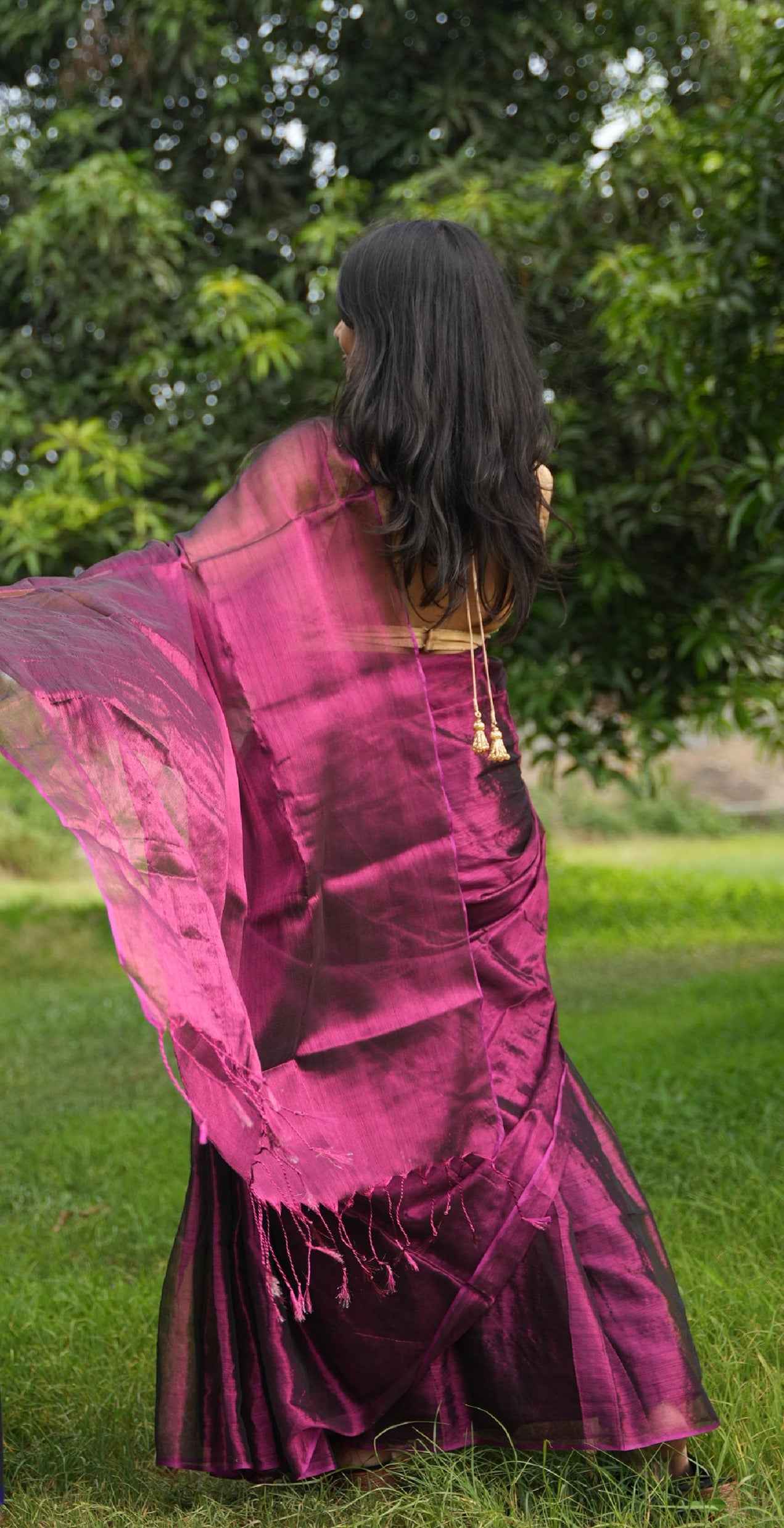 Plain Tissue Saree