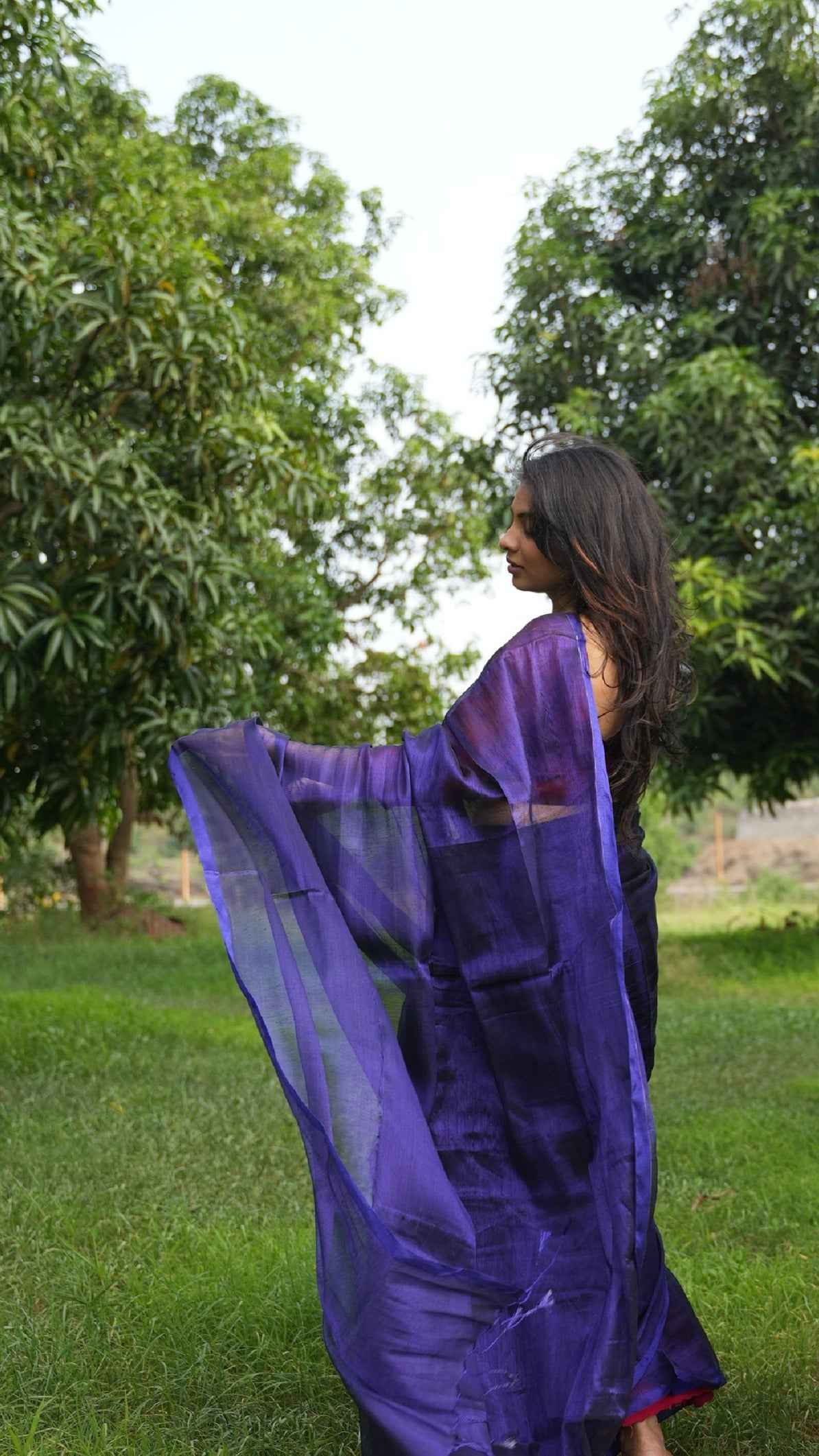 Plain Tissue Saree