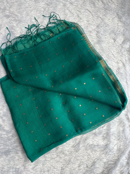 Pure Muslin Silk Sequin  Saree